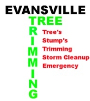 Tree Trimming Evansville