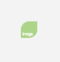 Image Technique Ltd