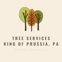 Expert Tree Services