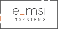 e-MSI IT Systems LLC.