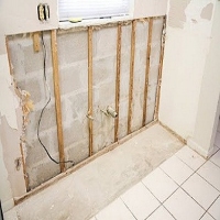 GIGANTIC Mold Remediation