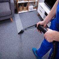 San Jose Carpet Cleaner