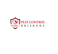 Spider Control Brisbane