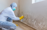 Mold Experts of Baton Rouge