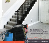 Sunbird Carpet Cleaning Brooklyn