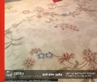 Hippo Carpet Cleaning Garden City