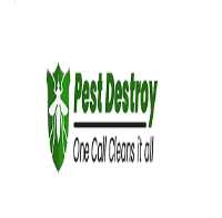 Best Cockroach Control Adelaide