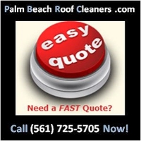 Palm Beach Roof Cleaners