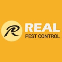 Real Rodent Control Adelaide