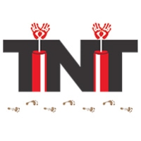 TNT Consulting Firm LLC