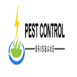 Cockroach Control Brisbane