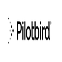 Pilot Bird