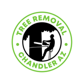 Tree Removal Chandler AZ