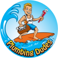 Plumbing Dudes