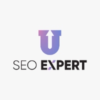 Umair SEO Expert in Lahore - SEO Consultant - SEO Company