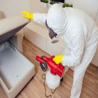 Pest Control Melbourne