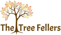 The Tree Fellers - Tree Surgeons