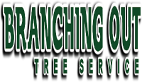 Tree Cutting & Trimming Islip