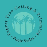 Expert Tree Cutting & Trimming