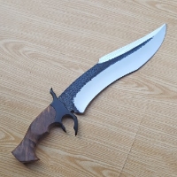 The Bowie Knife