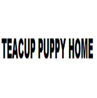 Teacup Puppy Home