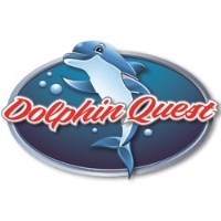 Dolphin Quest