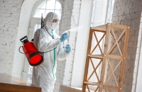 Mold Experts of Jacksonville