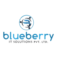 Blueberry IT Solutions