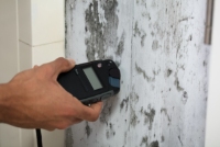 Mold Inspection Las Vegas