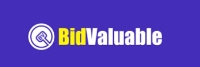 Bidvaluable Auction