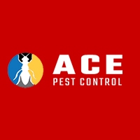 Pest Control Brisbane