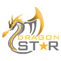 Dragon Star Shipping LLC