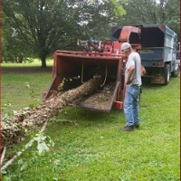 Danforth Tree Specialists Inc.