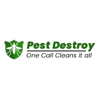 Pest Control Adelaide