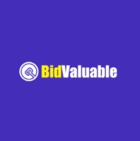 Bidvaluable Auction