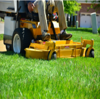 Palm Beach Landscapers