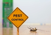 Pest Control Dandenong