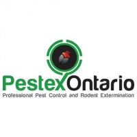 PESTEX Pest Control Hamilton