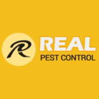 Real Pest Control Adelaide