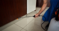 Pest Control Brisbane