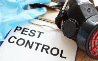 Plano Pest Control Experts