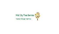 Colchester Tree Surgeon and Arborist