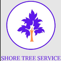 Shore Tree Service