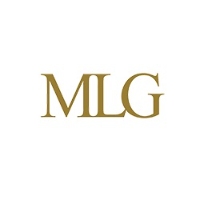 MLG Business Litigation Group