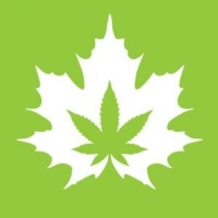 The House of Cannabis