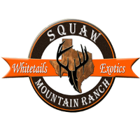 Squaw Mountain Ranch