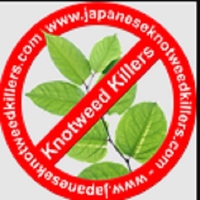 Japanese knotweed killers