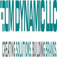 DCM Dynamic LLC