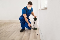 247 Pest Control Brisbane