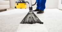 Best Carpet Cleaning Brisbane